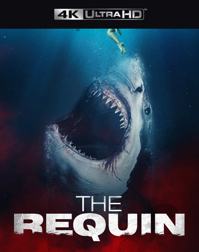 The Requin VUDU 4K