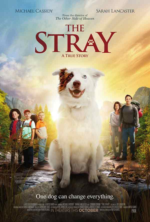The Stray VUDU HD or iTunes HD via MA